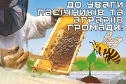 До уваги пасічників та аграріїв громади: онлайн семінар з питань дотримання законодавства у галузі бджільництва